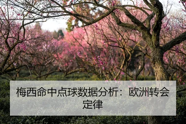 梅西命中点球数据分析：欧洲转会定律