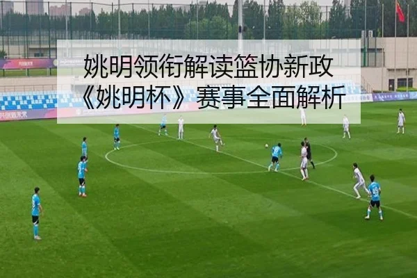 姚明领衔解读篮协新政 《姚明杯》赛事全面解析（ayx-app）