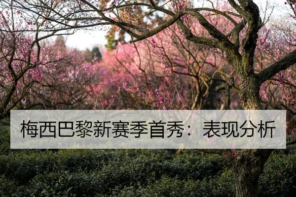 梅西巴黎新赛季首秀：表现分析（ayx-app）
